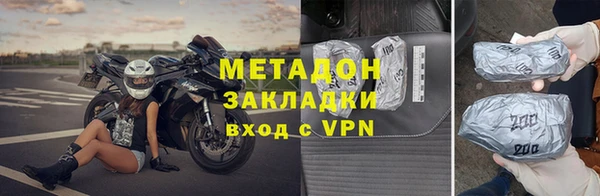 прущие грибы Аркадак