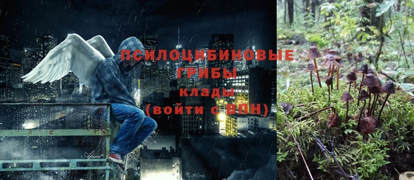 амф Арсеньев