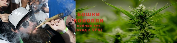 амф Арсеньев