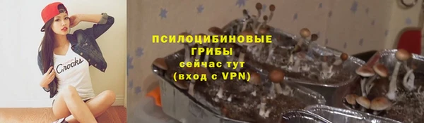 амф Арсеньев