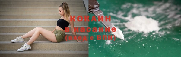 прущие грибы Аркадак