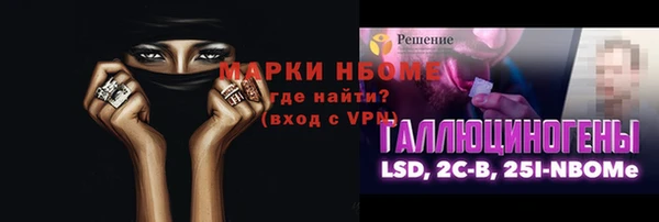 прущие грибы Аркадак