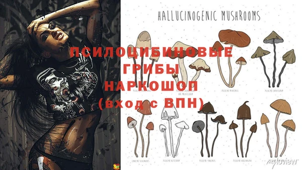 амф Арсеньев