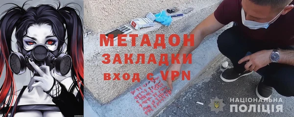 прущие грибы Аркадак