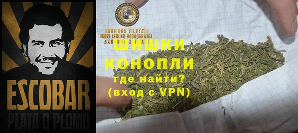 прущие грибы Аркадак