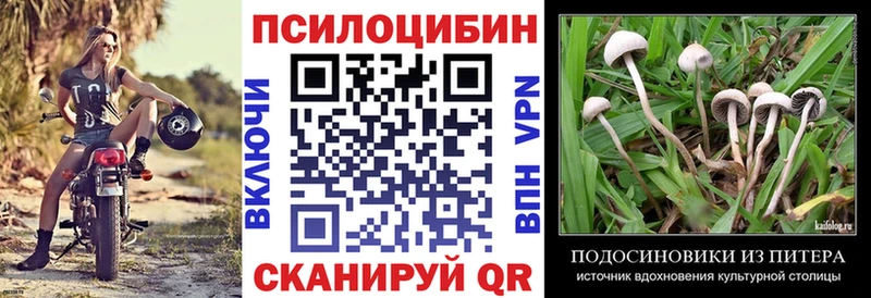 ОМГ ОМГ зеркало  закладка  Руза  Псилоцибиновые грибы MAGIC MUSHROOMS 